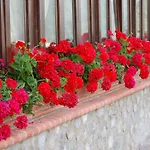 Отель Lo Sciatore 3*