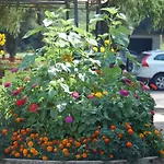 Отель Lo Sciatore Cotronei