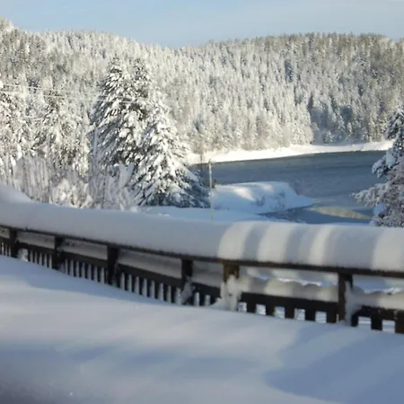 Lo Sciatore 호텔 3*