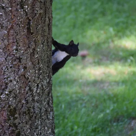 Lo Sciatore 호텔 3*