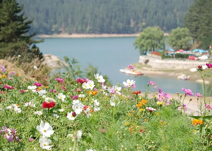 Lo Sciatore Hotel 3*