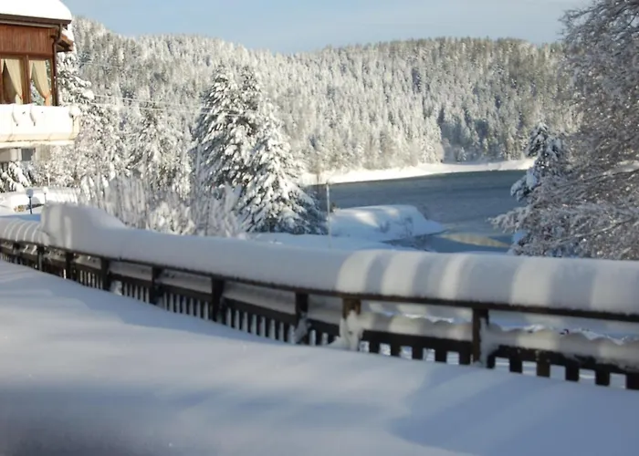 Lo Sciatore 酒店 3*