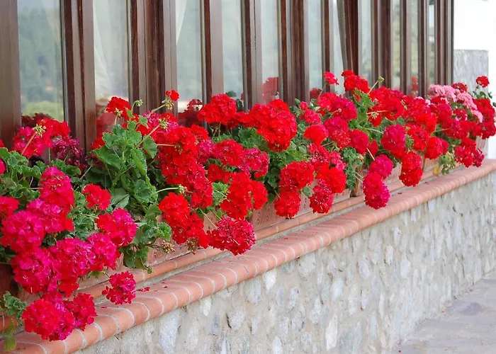 Hotel Lo Sciatore 3*