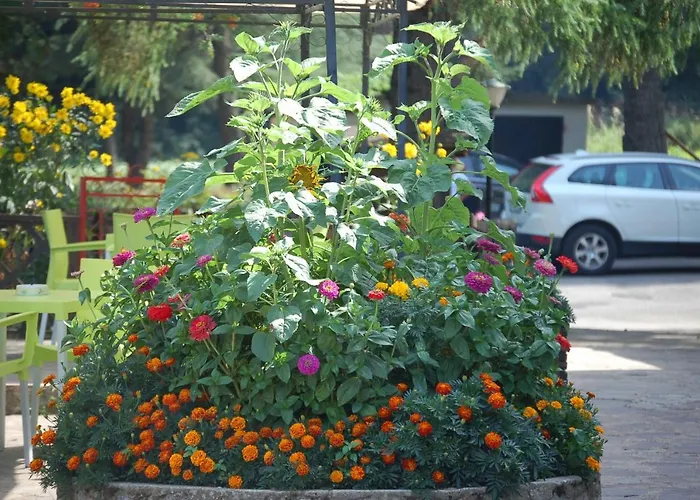 酒店 Lo Sciatore Cotronei